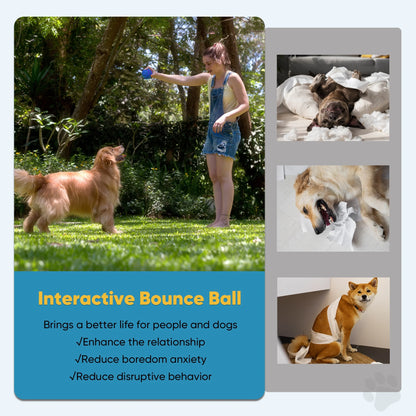 Interactive LED Dog Ball - Rechargeable Rolling Toy for Medium to Large Dogs, Features Flashing Lights and Bouncing Motion, Blue
